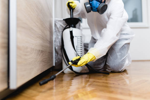 Best Affordable Pest Control Services  in Prairie Village, KS