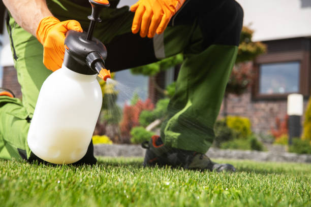 Best Commercial Pest Control Services  in Prairie Village, KS