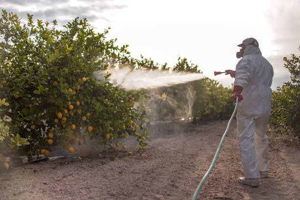 Best Residential Pest Control  in Prairie Village, KS