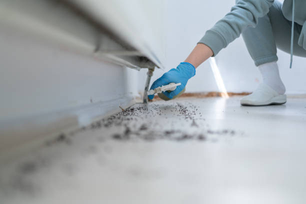 Best Pest Control Near Me  in Prairie Village, KS