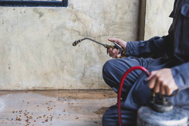 Best Exterminator Services  in Prairie Village, KS